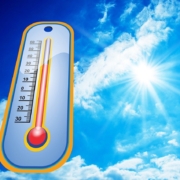 Zomertips